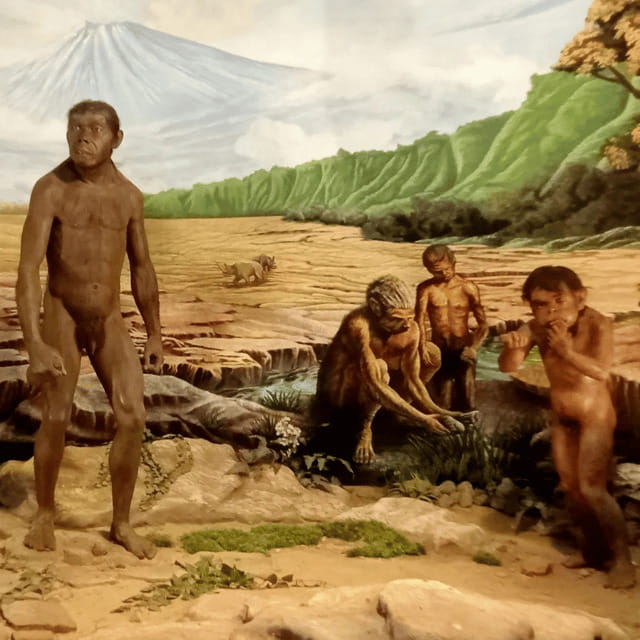 Sangiran Museum-UNESCO (Homeland of Java Man) - An In-Depth Look at What to Expect