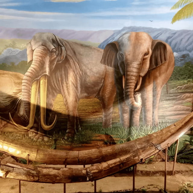 Sangiran Museum-UNESCO (Homeland of Java Man) - Final Thoughts