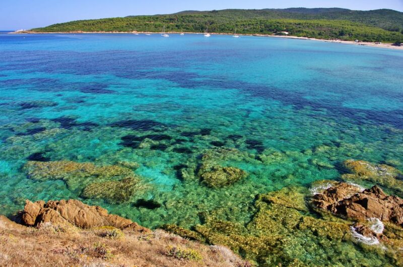 Sanguinaires Islands Tour Capo Di Feno - High-Speed Return Journey