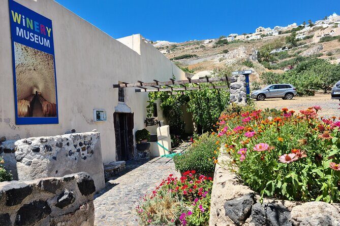 Sanotini Oia Wine Tasting and Local Places Half Day Tour - Art and Wine at the Pumice-Crafted Winery