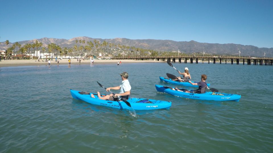 Santa Barbara: 1.5-Hour Harbor Kayak Tour - Overview of the Harbor Kayak Tour