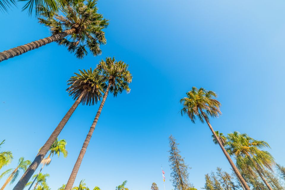 Santa Barbara: 3-Hour Cocktail and History Walking Tour - Inclusions and Exclusions