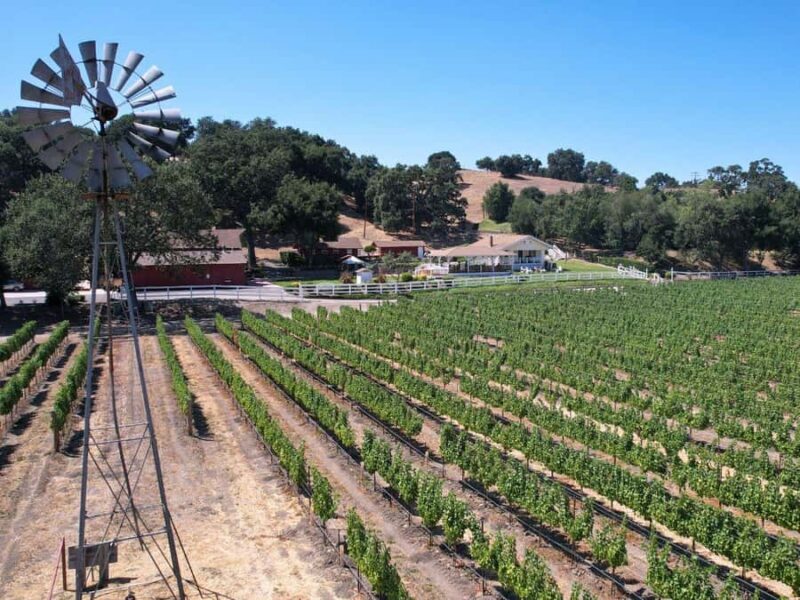 Santa Barbara 3-Winery Tour with Picnic Lunch & Tastings - The Value and Overall Experience