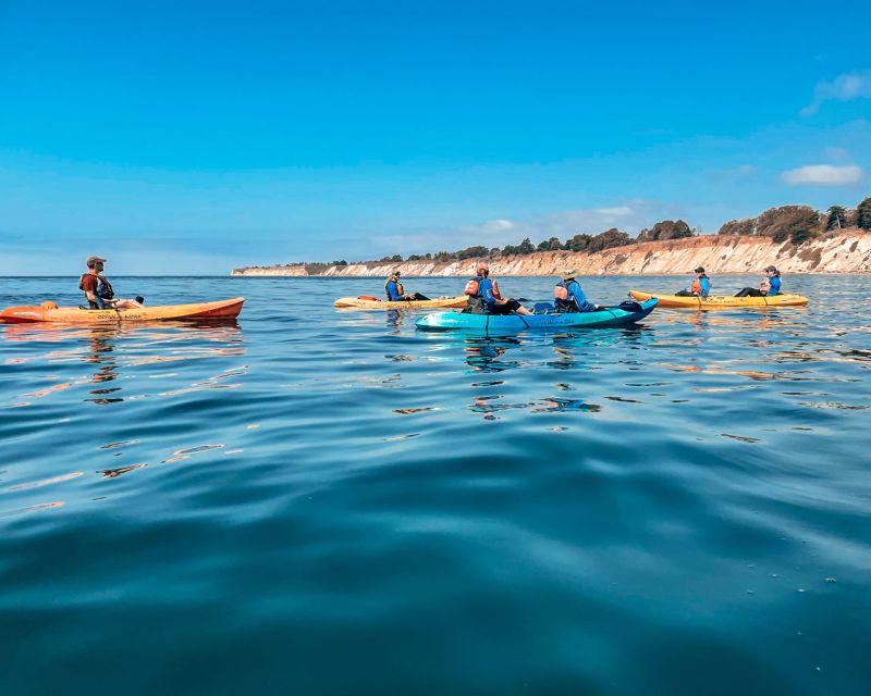 Santa Barbara: Coastline Kayak Tour With Knowledgeable Guide - Highlights