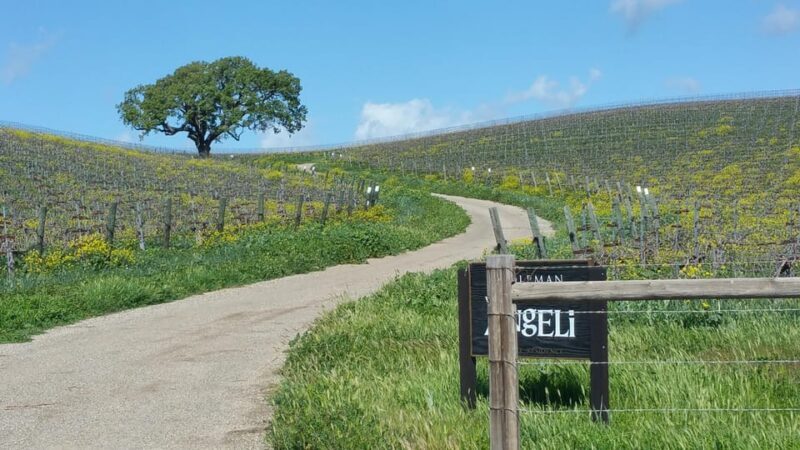 Santa Barbara: E-bike wine tour w/ transport, tasting, lunch - FAQ