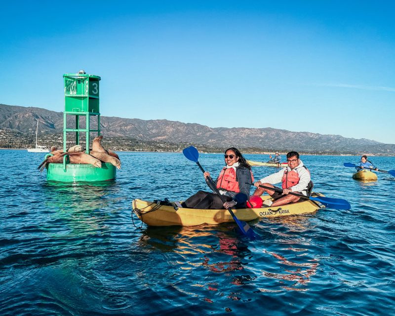 Santa Barbara: Guided Kayak Wildlife Tour - Key Points