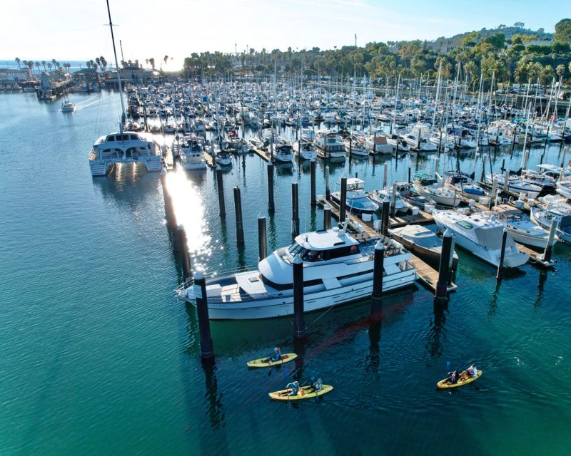 Santa Barbara: Guided Kayak Wildlife Tour - Inclusions