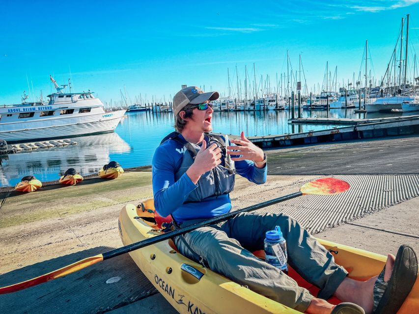 Santa Barbara: Guided Kayak Wildlife Tour - Wildlife Sightings
