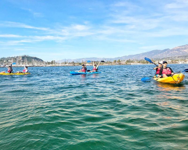 Santa Barbara: Guided Kayak Wildlife Tour - History and Marine Ecology