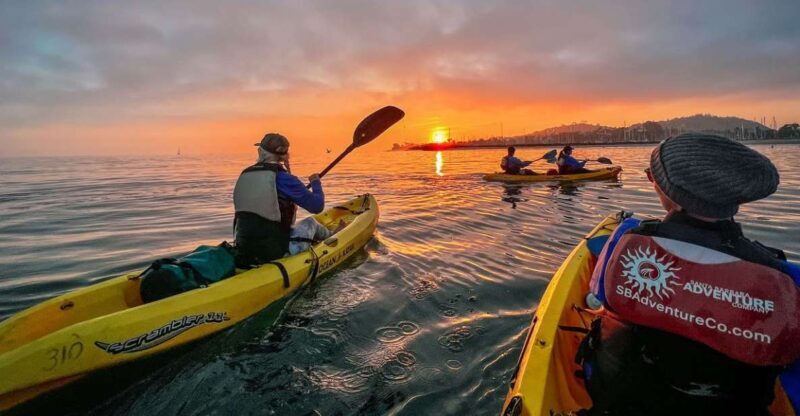 Santa Barbara Harbor: Sunset Kayak Tour (2 Hours) - A Detailed Look at the Santa Barbara Sunset Kayak Tour