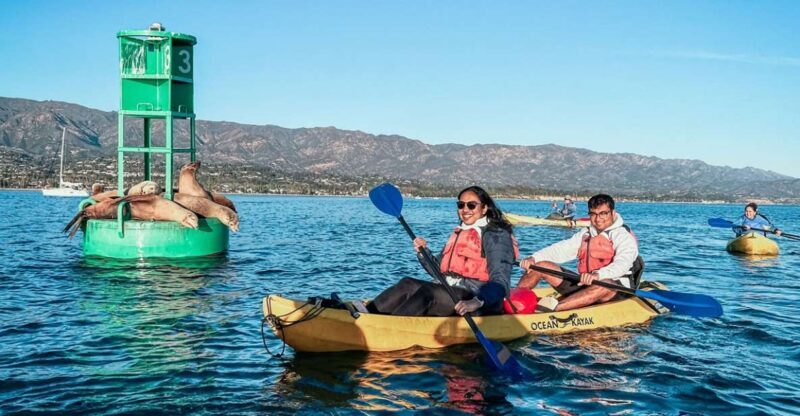 Santa Barbara Harbor: Wildlife Kayak Tour (2 Hours) - Learning and Interpretation