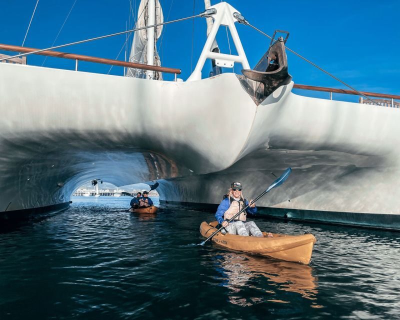 Santa Barbara Harbor: Wildlife Kayak Tour (2 Hours) - The Experience in Practice