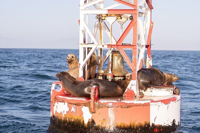 Santa Barbara Narrated Coastal Yacht Experience - Final Thoughts