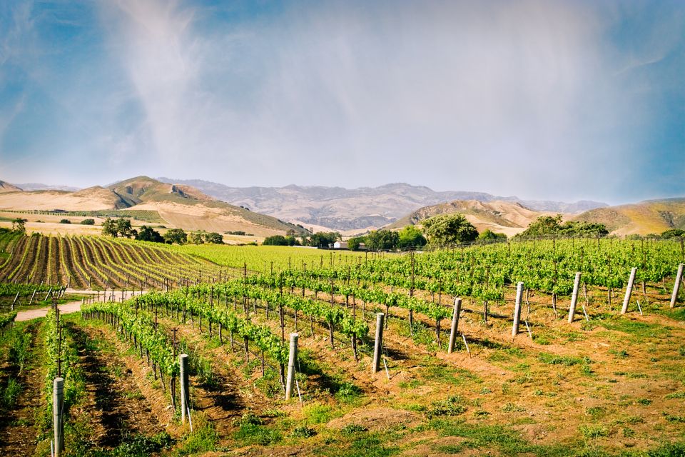Santa Barbara: Wine Country Tour With Lunch - Gourmet Picnic Lunch