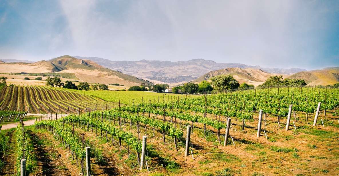 Santa Barbara: Wine Country Tour With Lunch - Frequently Asked Questions