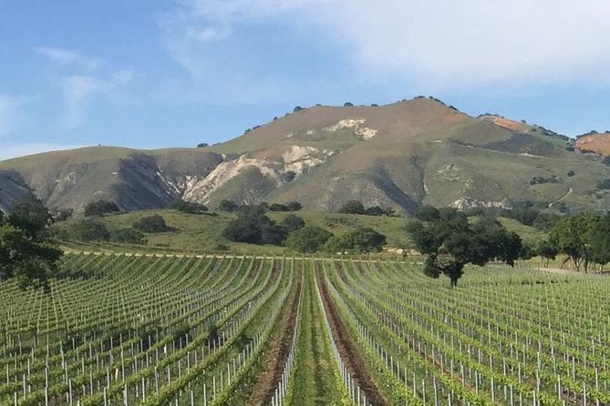 Santa Barbaras Original Afternoon Winery Tour - Winery Visits and Tastings