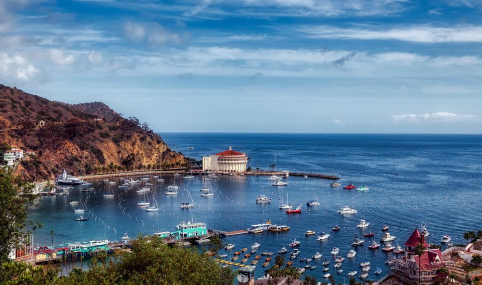 Santa Catalina Island: Nautilus Semi-Submarine Cruise - Key Points