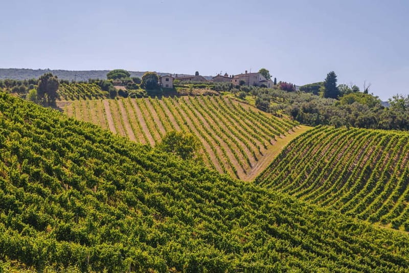 "Santa Chiara" wine tasting - Palagetto winery - The Setting and Atmosphere  