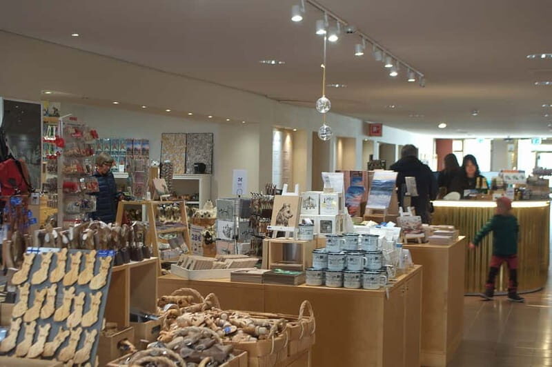 Santa Claus village and Arktikum museum tour in Lapland - Final Thoughts: Who Will Enjoy This Tour?