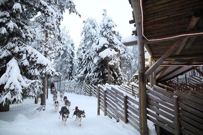 Santa Claus Village, Husky and Reindeers Combo Safari - A Detailed Look at the Tour Experience