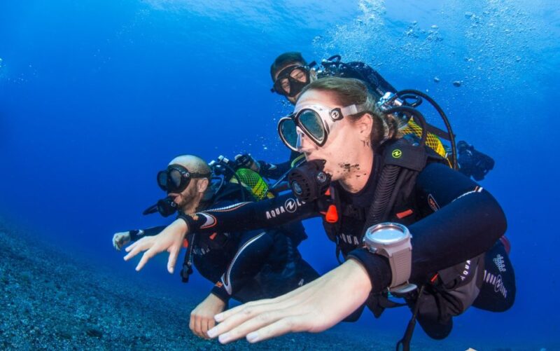 Santa Cruz De Tenerife: Advanced Introductory Course - Key Points