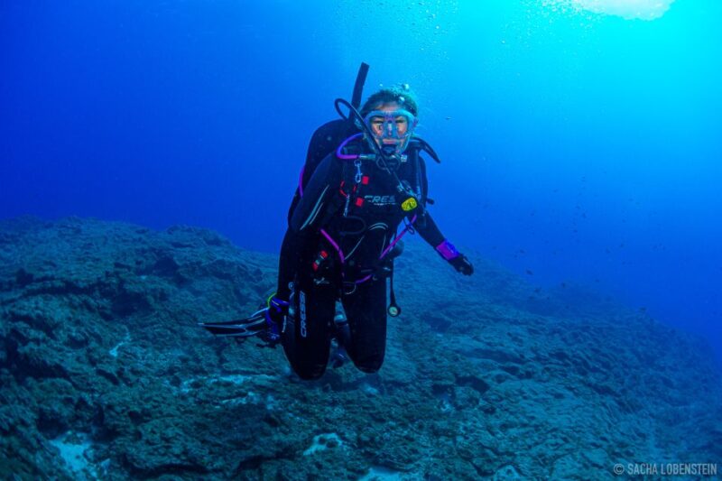 Santa Cruz De Tenerife: Advanced Introductory Course - Booking and Cancellation
