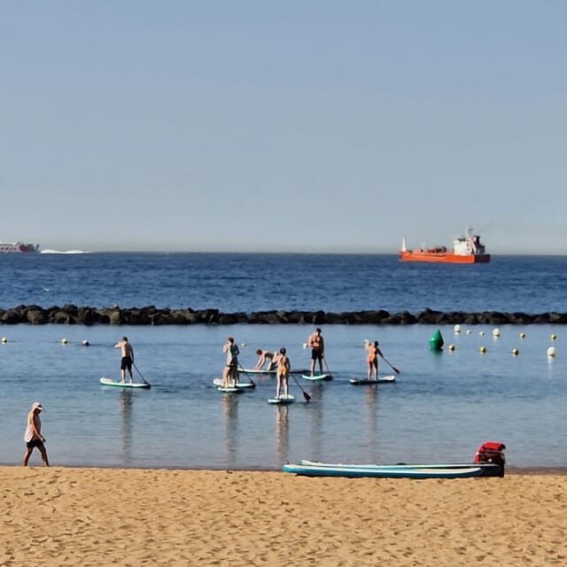 Santa Cruz de Tenerife: Las Teresitas Stand Up Paddle Course - Introduction: A Gentle Ride with Big Views