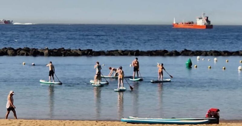 Santa Cruz de Tenerife: Las Teresitas Stand Up Paddle Course - The Value and Practicalities