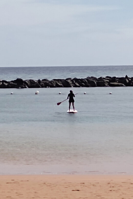 Santa Cruz de Tenerife: Las Teresitas Stand Up Paddle Course - Who Will Love This Activity?