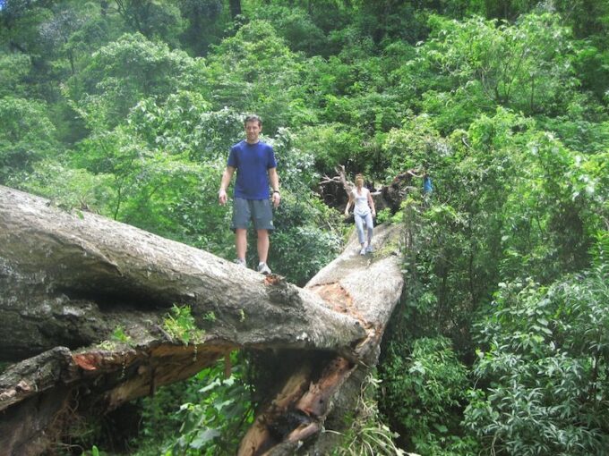 Santa Cruz: Hidden Waterfalls & Secret Paradise Hike - Customer Ratings and Feedback