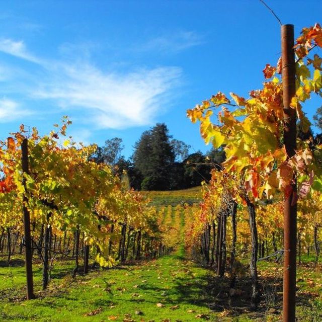 Santa Cruz: Private Custom Wine Tour With Hotel Pickup - Itinerary Highlights