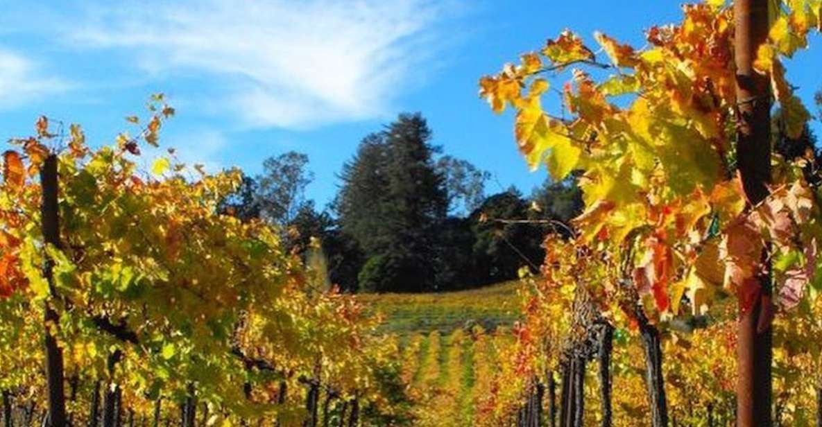 Santa Cruz: Private Custom Wine Tour With Hotel Pickup - Frequently Asked Questions