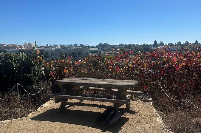 Santa Cruz Walking Tour: Discover Downtown & Mission Hill - The Sum Up