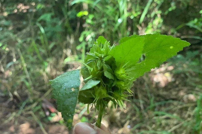 Santa Maria Beach Hike - The Sum Up: Is This Tour Right for You?