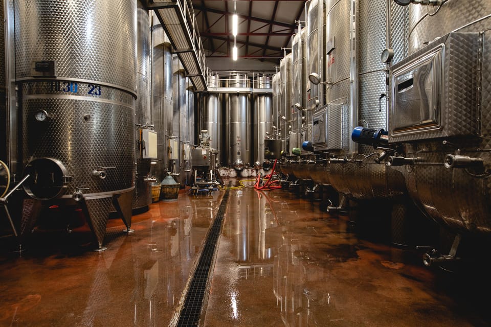 Santa Maria Della Versa: Grape Harvest & Wine Tasting Tour - Key Points