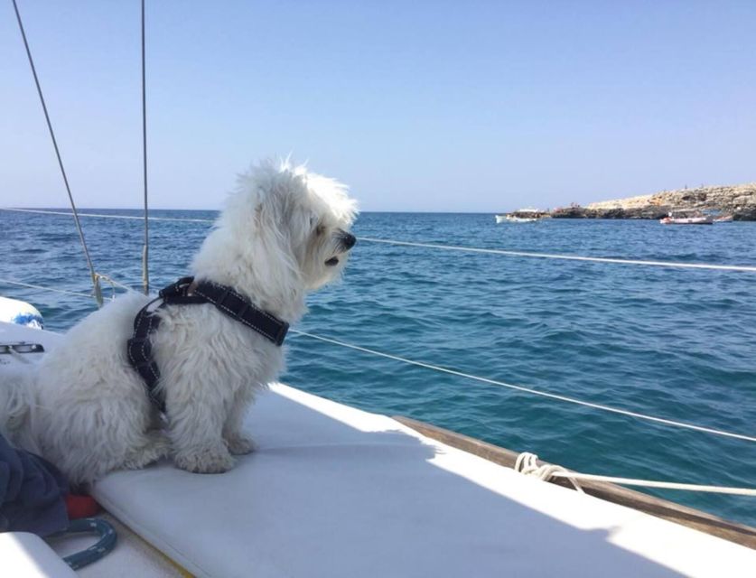 Santa Maria Di Leuca: Sailing Trip With Lunch - Recap