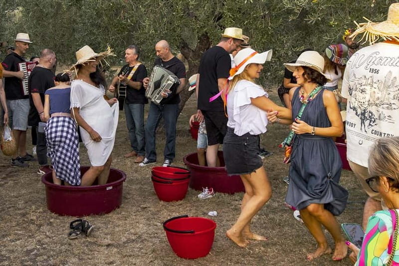 Santa Maria Imbaro: Grape Harvest with Pressing + Picnic among olive trees and vineyards - Final Thoughts: Who Will Love This Tour?