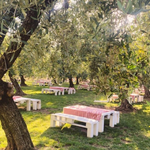 Santa Maria Imbaro: The Vinarte Picnic Under the Moonlight - Accessibility and Inclusivity