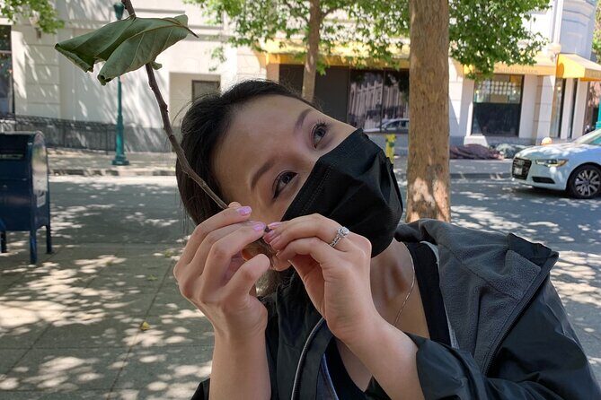 Santa Monica Scavenger Hunt - Santa Monica Scavenger Hunt Review