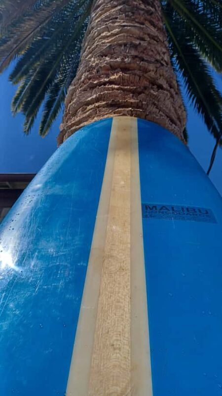 Santa Monica: Surfboard and Wetsuit Rental - The Sum Up