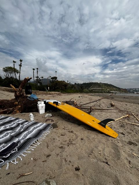 Santa Monica: Surfing Day Trip With Lunch - Picnic Lunch