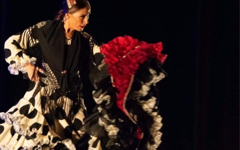 Santa Pola Historical and Landscape and Flamenco With Show and Dinner - Transportation and Group Details
