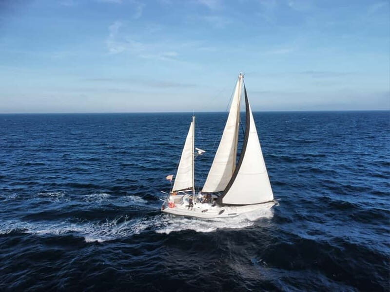 Santa Pola: Sailboat trips to Tabarca, snorkeling, and sunset with tasting - Key Points