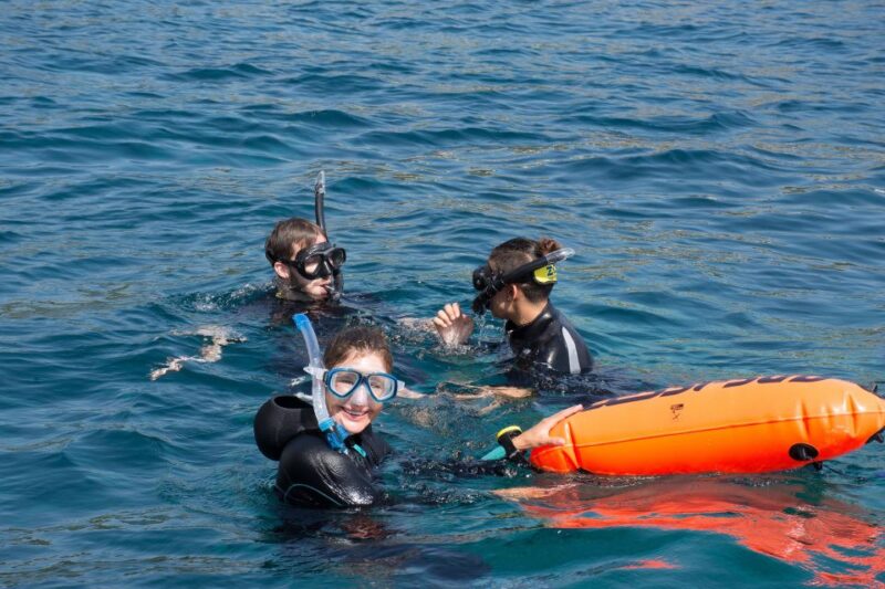 Santa Ponsa: Snorkeling Tour in a Marine Reserve - Customer Feedback and Recommendations