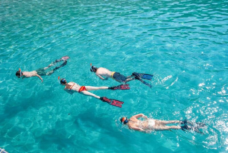 Santa Ponsa: Snorkeling Tour in a Marine Reserve - Frequently Asked Questions