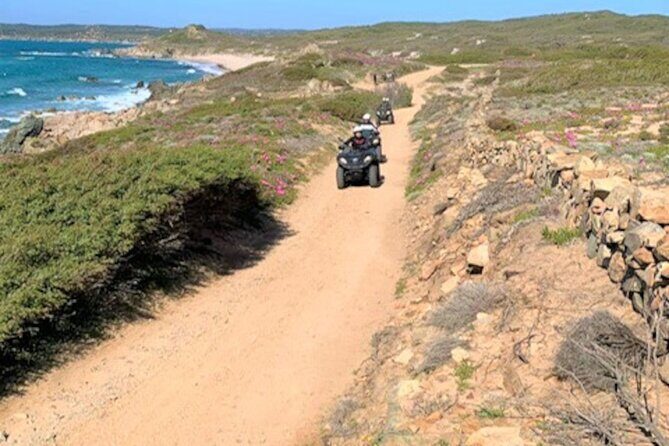 Santa Teresa di Gallura Quad Tour - Who Will Love This Tour?