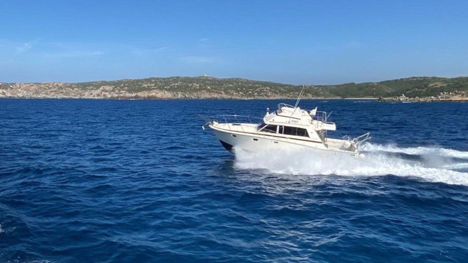 Santa Teresa: Speedboat Tour of the La Maddalena Archipelago - Meeting Point Location