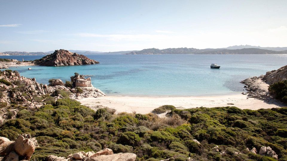 Santa Teresa: Speedboat Tour of the La Maddalena Archipelago - Additional Information