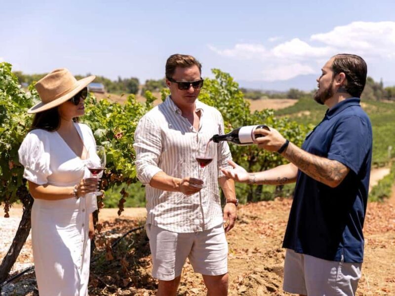 Santa Ynez: 3 Winery Tour with Picnic Lunch & Local Pickup - What to Expect on the Santa Ynez Winery Tour