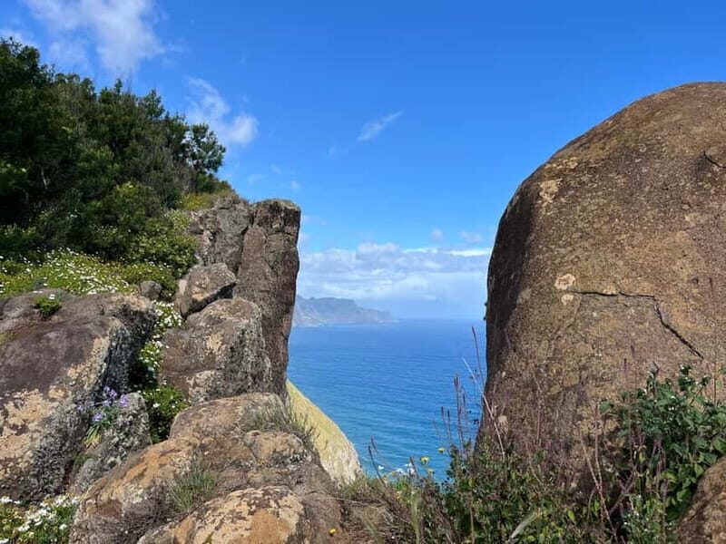 Santana: 4x4 Full-Day Tour to Northeast of Madeira Island - An In-Depth Look at the Santana 4x4 Full-Day Tour